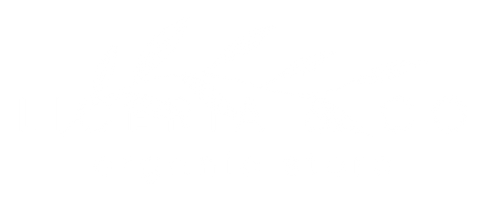 全台最美品牌官網